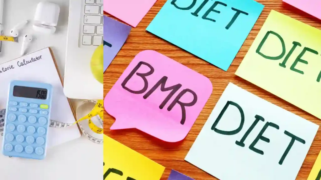 BMR vs TDEE Difference